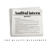 Principiile Fundamentale pentru practica  Auditului Intern (partea 2)